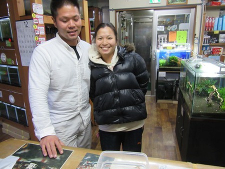 レッドビーシュリンプ