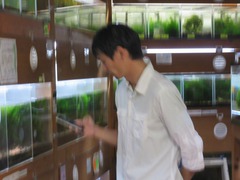 レッドビーシュリンプ繁殖でヤフオク！出品