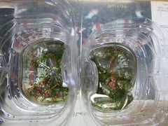 レッドビーシュリンプ繁殖してヤフオク！出品