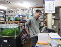 レッドビーシュリンプ繁殖で出品