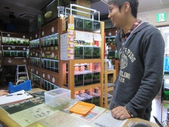 レッドビーシュリンプ繁殖で出品