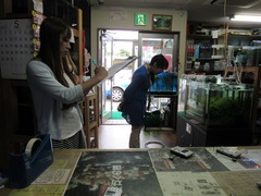 ラジオでレッドビーシュリンプ