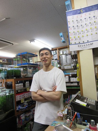 レッドビーシュリンプ繁殖でヤフオク！出品！