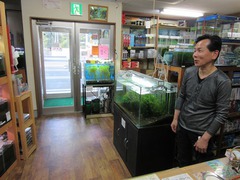 レッドビーシュリンプ繁殖でヤフオク！出品！