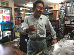 レッドビーシュリンプ繁殖でヤフオク！出品！