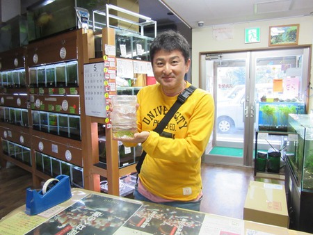 レッドビーシュリンプ繁殖　で　ヤフオク！へ出品