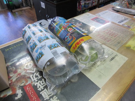 レッドビーシュリンプ繁殖でヤフオク！出品！