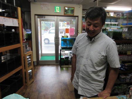 レッドビーシュリンプ繁殖でヤフオク！出品！