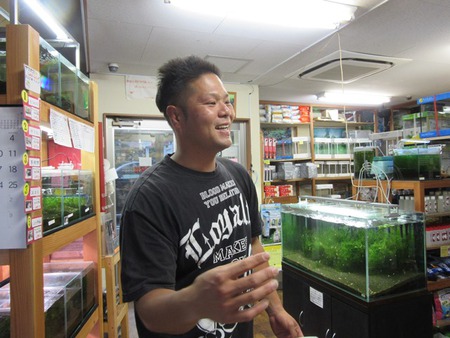 レッドビーシュリンプ繁殖でヤフオク！出品