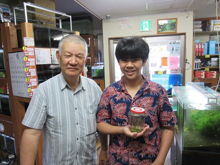 レッドビーシュリンプ繁殖成功でヤフオク！出品