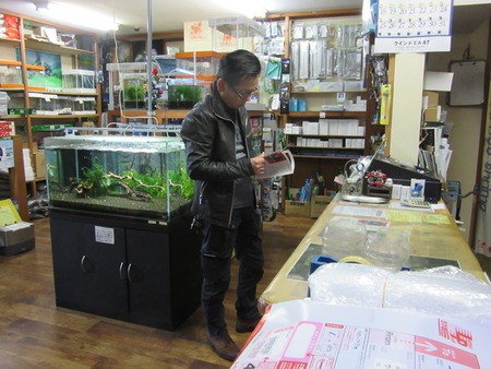 レッドビーシュリンプ