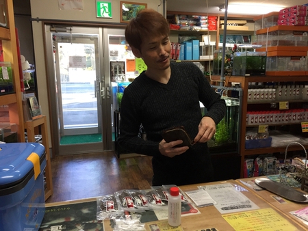 レッドビーシュリンプ