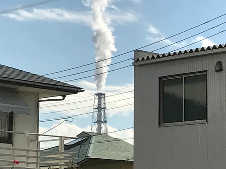 レッドビーシュリンプ　エビ　通販