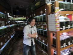 レッドビーシュリンプ繁殖してヤフオク！出品