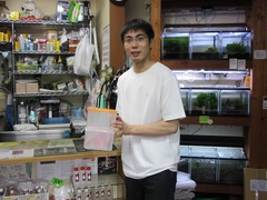 レッドビーシュリンプ繁殖で出品