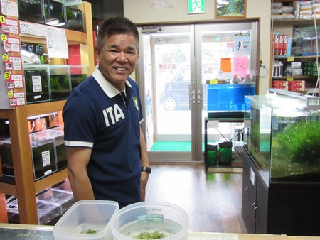 レッドビーシュリンプ繁殖成功でヤフオク！出品