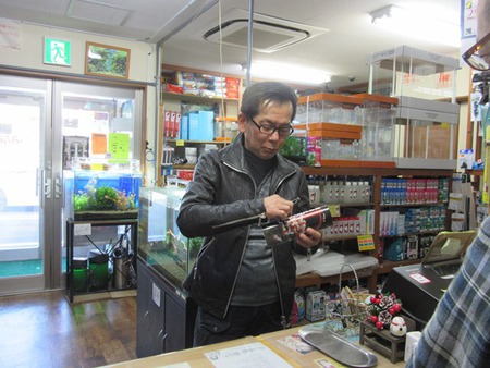 レッドビーシュリンプ