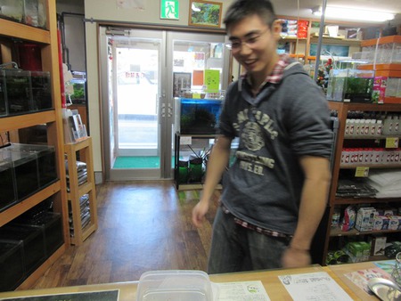 レッドビーシュリンプ