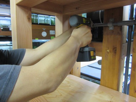 ヤフオク！出品用のレッドビーシュリンプ水槽増設中