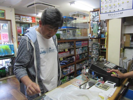 レッドビーシュリンプ繁殖でヤフオク！出品