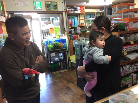 レッドビーシュリンプ