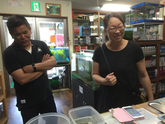 レッドビーシュリンプ繁殖でヤフオク！出品