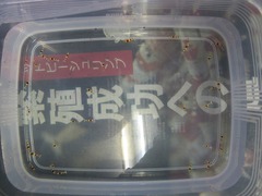 レッドビーシュリンプ繁殖で出品