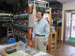 レッドビーシュリンプ繁殖でヤフオク！出品