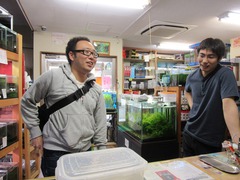 レッドビーシュリンプ繁殖でヤフオク！出品