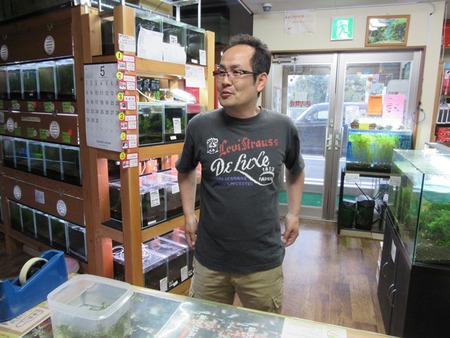 レッドビーシュリンプ繁殖　で　ヤフオク！へ出品