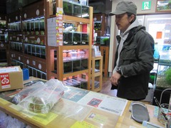 レッドビーシュリンプ繁殖で出品