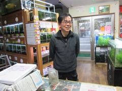 レッドビーシュリンプ繁殖で出品