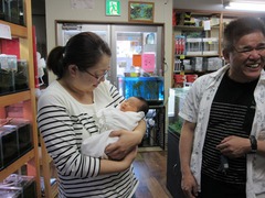 レッドビーシュリンプ繁殖でヤフオク！出品