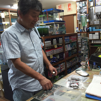 レッドビーシュリンプ繁殖でヤフオク！出品！