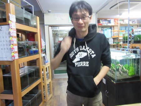 レッドビーシュリンプ