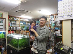 レッドビーシュリンプ繁殖で出品