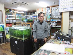 レッドビーシュリンプ繁殖で出品