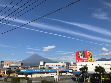 レッドビーシュリンプ　エビ　通販