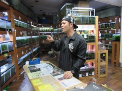 レッドビーシュリンプ繁殖で出品