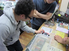 レッドビーシュリンプ繁殖でヤフオク！出品