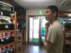 レッドビーシュリンプ繁殖でヤフオク！出品