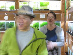 レッドビーシュリンプ繁殖で出品