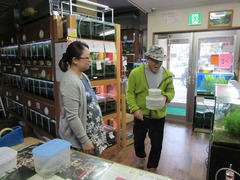 レッドビーシュリンプ繁殖で出品