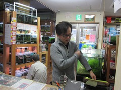 レッドビーシュリンプ繁殖でヤフオク！出品