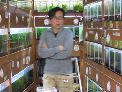 レッドビーシュリンプ繁殖でヤフオク！出品