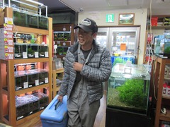 レッドビーシュリンプ繁殖してヤフオク！出品