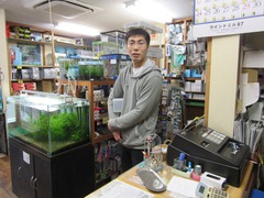 レッドビーシュリンプ繁殖で出品