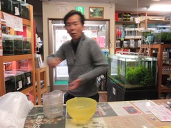 レッドビーシュリンプ繁殖でヤフオク！出品