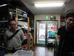 レッドビーシュリンプ繁殖でヤフオク！出品