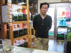 レッドビーシュリンプ繁殖でヤフオク！出品